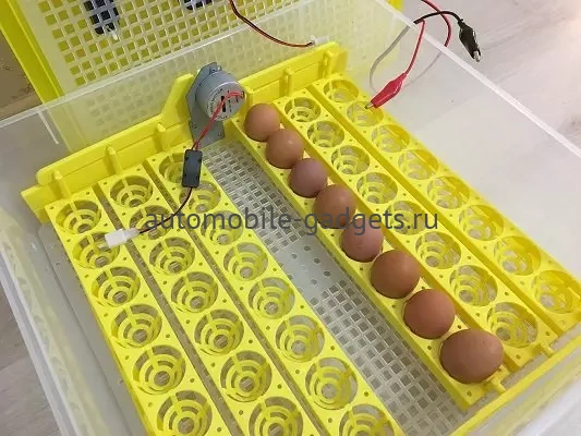 Бытовой инкубатор для 48 куриных яиц с контролем температуры, влажности и автоматическим переворотом SITITEK 48 с автономным питанием 12В