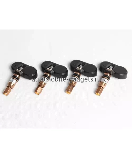 Датчики давления в шинах (TPMS) TX-601 USB (внутренние)