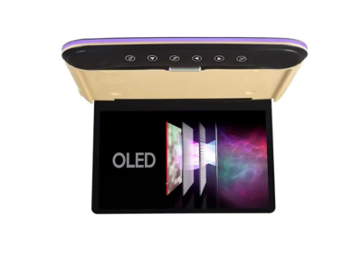 Потолочный Смарт ТВ 13,3" ERGO ER1330AN_OLED (1920x1080, Android) бежевый