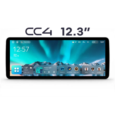Магнитола под рамки 9", 10", 12.3" Teyes CC4 12.3 8/128 на And1roid 14 (4G-SIM, DSP, QLed)