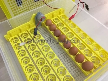 Бытовой инкубатор для 48 куриных яиц с контролем температуры, влажности и автоматическим переворотом SITITEK 48 с автономным питанием 12В