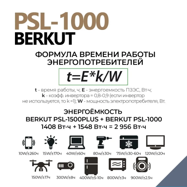 Портативная зарядная резервная батарея BERKUT PSL-1000