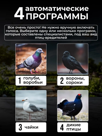 Профессиональный биоакустический отпугиватель птиц "ГРАД А-16 Pro"