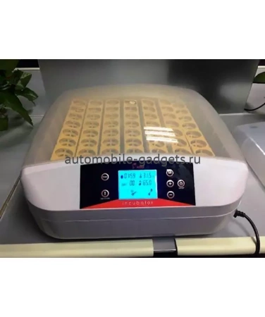 Инкубатор HHD 56S LED