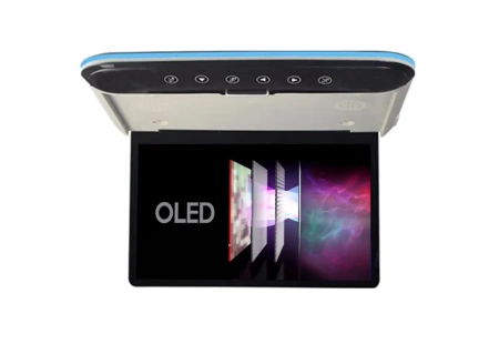 Потолочный Смарт ТВ 13,3" ERGO ER1330AN_OLED (1920x1080, Android) серый