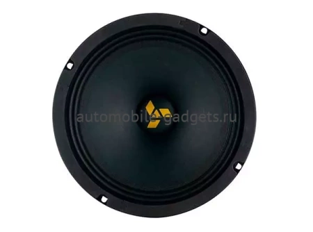 SWAT MAS-80Pro эстрадная акустика