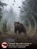 Пропановый отпугиватель птиц и животных "SITITEK ГРОМ E20"