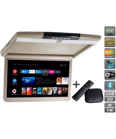 AVS1717MPP (бежевый) + Xiaomi Mi Box + AV1252DC Потолочный монитор на Android