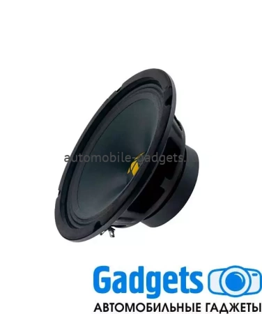 SWAT MAS-80Pro эстрадная акустика