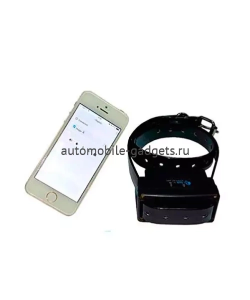 Электроошейник DogGo с управлением со смартфона