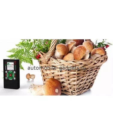 Дозиметр EcoLifePro 1