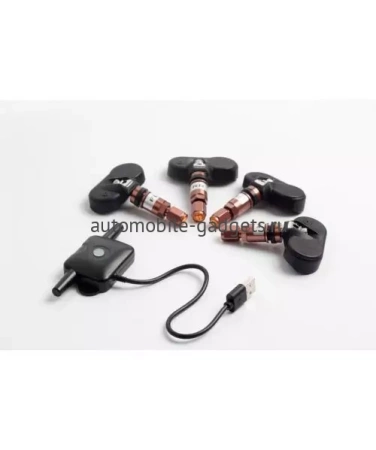 Датчики давления в шинах (TPMS) TX-601 USB (внутренние)