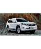 ЭЛЕКТРОМЕХАНИЧЕСКИЙ БЛОКИРАТОР КПП ДЛЯ TOYOTA LAND CRUISER PRADO /2012-/ А+ P - ГАРАНТ G.IP.GR.EK.38002