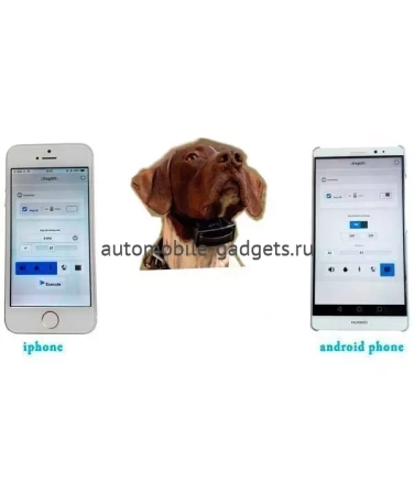 Электроошейник DogGo с управлением со смартфона