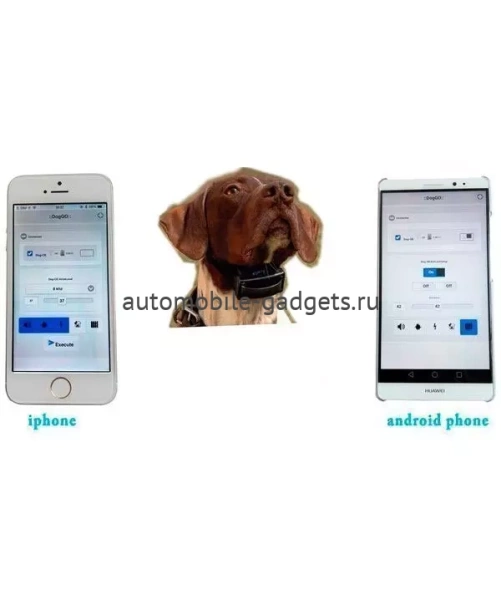 Электроошейник DogGo с управлением со смартфона
