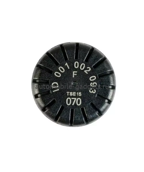 ParkMaster TPMS 2-02