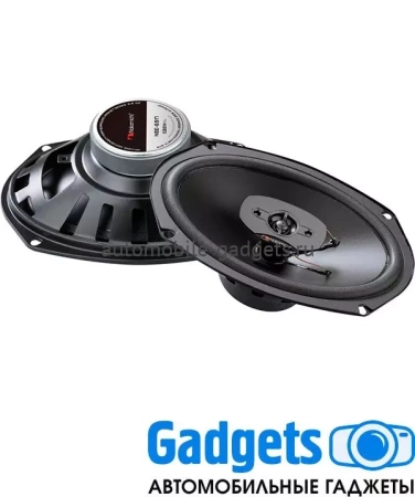 Nakamichi NSE-6917 автомобильные коаксиальные динамики